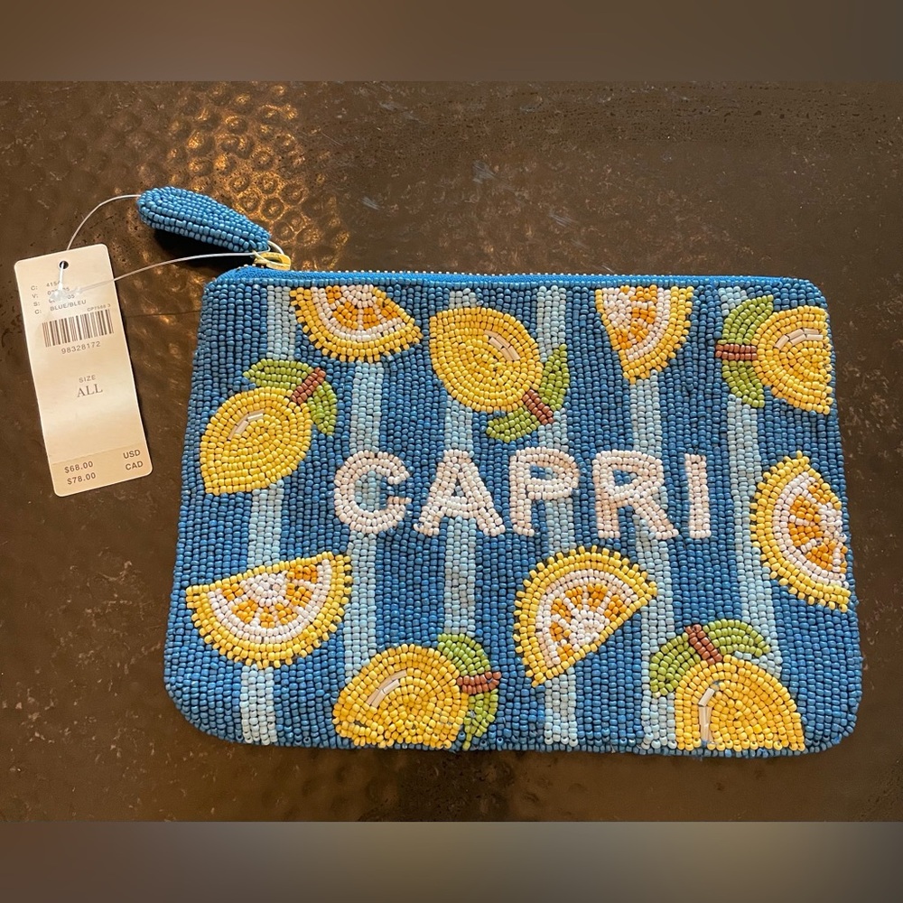 NWT Anthropologie The Fiona Beaded Pouch City Edition in Capri - Picture 5 of 7
